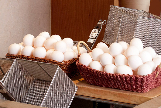 온천 달걀 만들기 체험